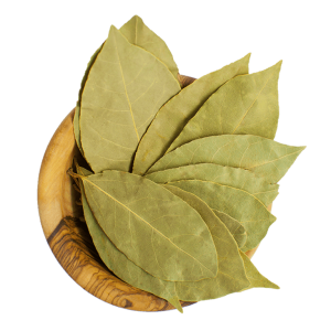 Bay leaf