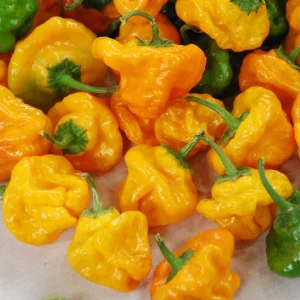 Hot Jamaican Peppers